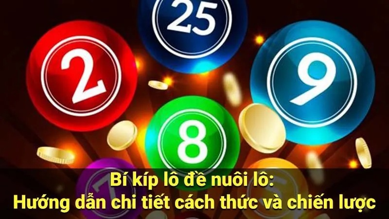Cách nuôi lô đề ngắn hạn dài hạn hiệu quả nhất 2025