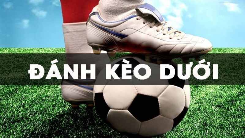 kèo trên kèo dưới - Phương pháp chơi để đạt tỷ lệ thắng cao