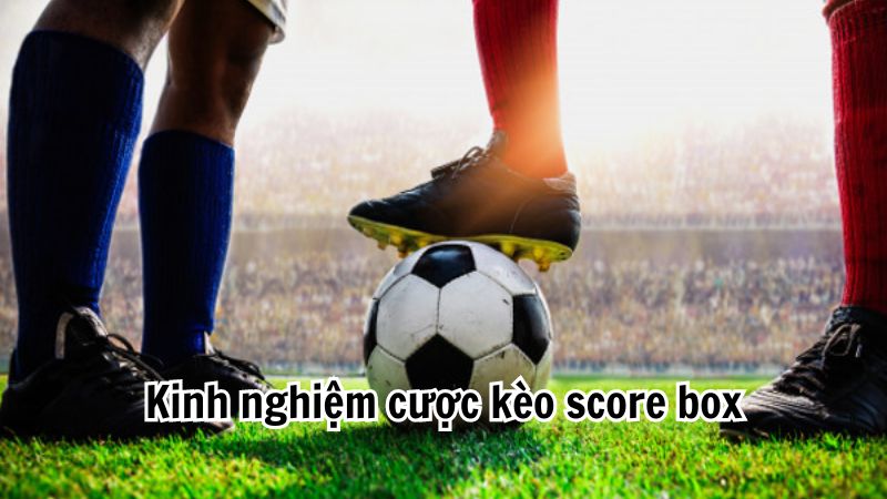 Kèo chấp Score Box - Kinh nghiệm cá cược bóng đá bất bại