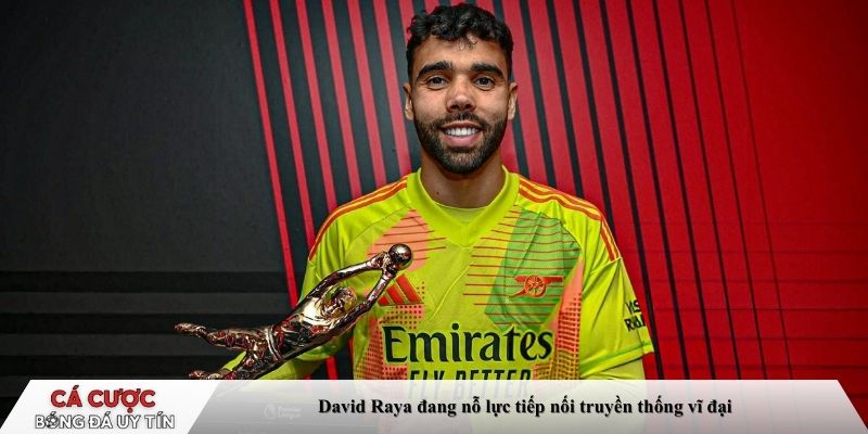 David Seaman là biểu tượng của sự an toàn tuyệt đối