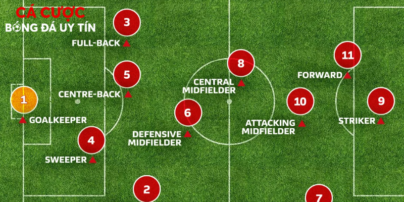 Các vị trí tiền vệ phổ biến trên sân