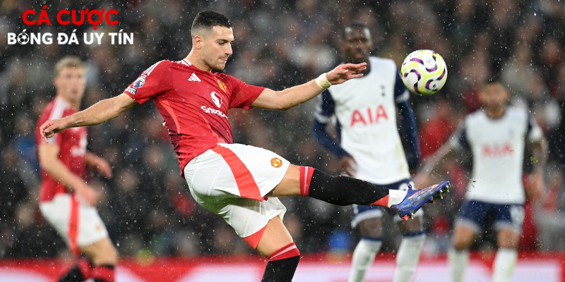 Chiến thuật hậu vệ biên ngược mới