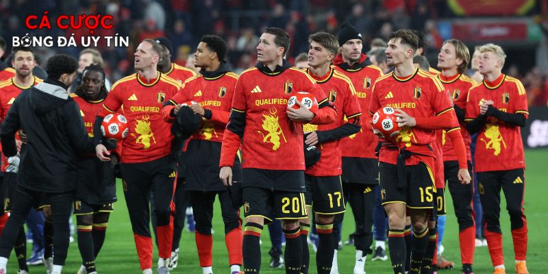 Dự đoán cục diện xếp hạng tại bảng G