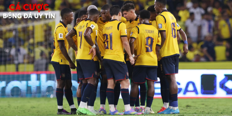 Ecuador có lối đá phản công sắc bén