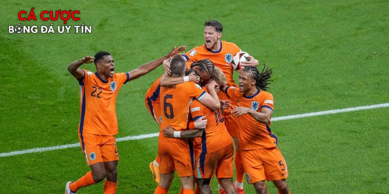 Hà Lan là ứng viên vô địch bảng F