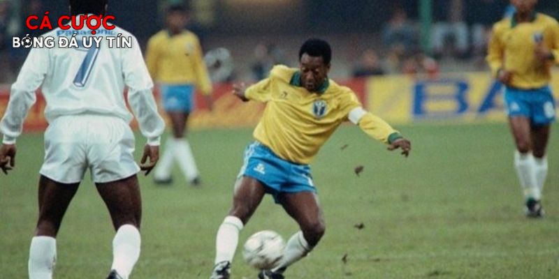 Những huyền thoại săn bàn và tranh cãi lịch sử