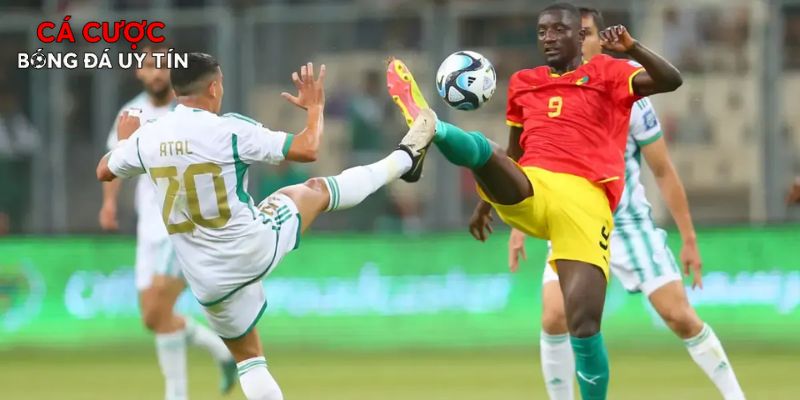 Hai ẩn số chờ đợi tạo nên địa chấn