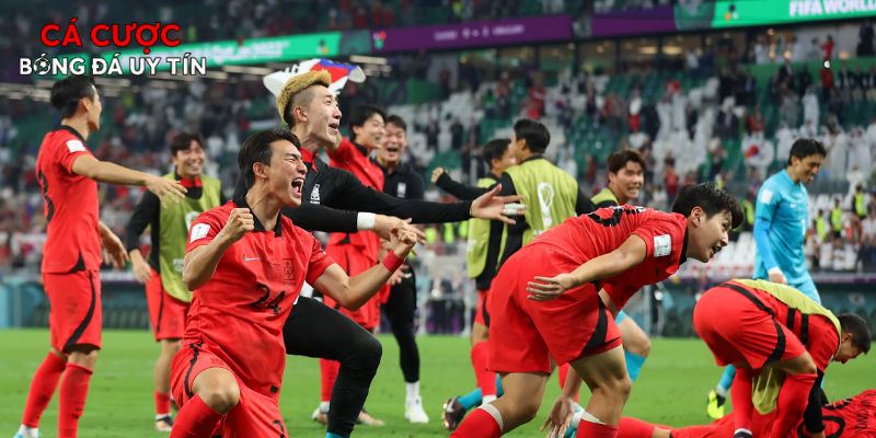 Những đội bóng ngựa ô sẵn sàng tạo bất ngờ