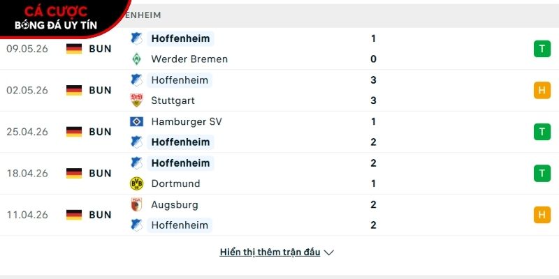 Phong độ của CLB Hoffenheim