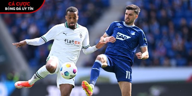 Soi kèo Monchengladbach vs Hoffenheim chi tiết