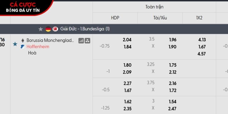 Soi kèo Monchengladbach vs Hoffenheim qua tỷ lệ