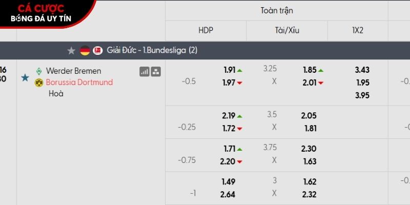Soi kèo Werder Bremen vs Dortmund qua tỷ lệ