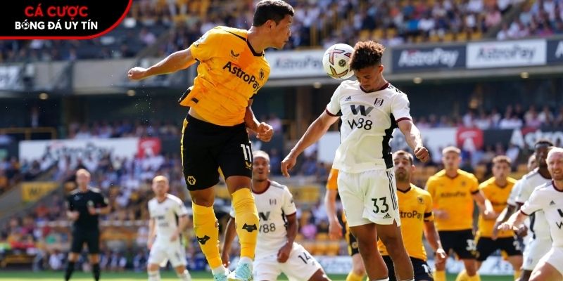 Soi kèo Wolves vs Fulham chi tiết