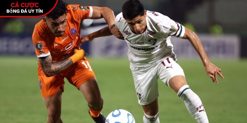 Thành tích so tài giữa Fluminense vs La Guaira