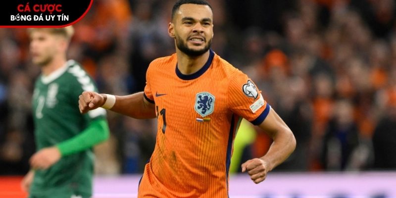 Soi kèo Hà Lan vs Algeria chi tiết