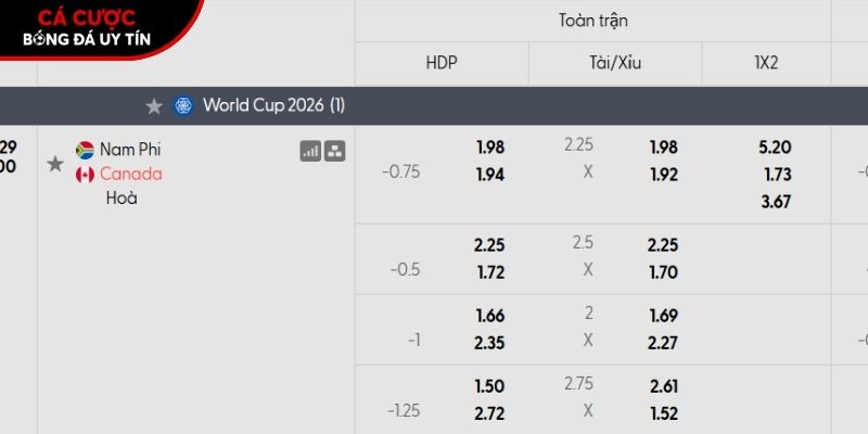 Soi kèo Nam Phi vs Canada qua tỷ lệ