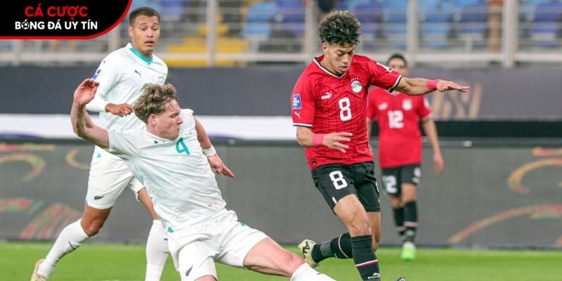 Thành tích so tài giữa New Zealand vs Ai Cập